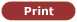 Print Floorplan